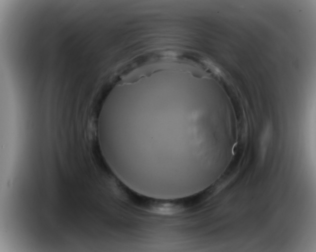 X0000084020467200703091951