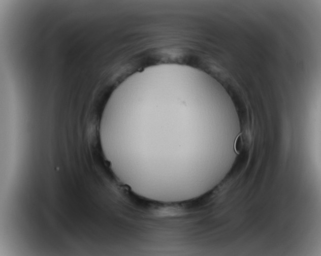 X0000084020468200703091951