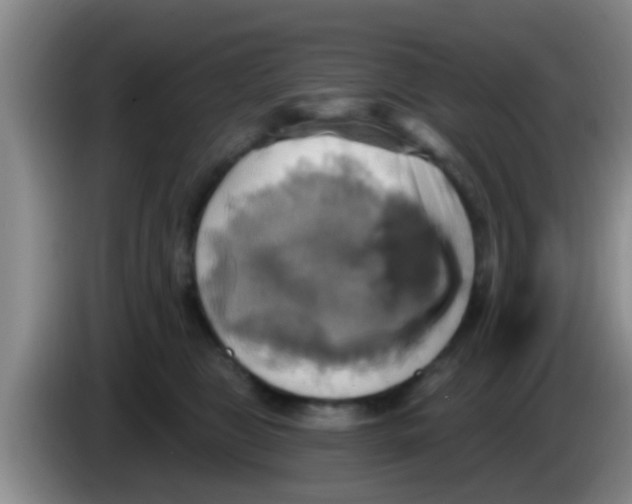 X0000084020469200703091951