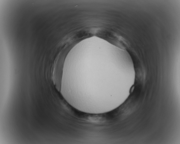 X0000084020470200703091951