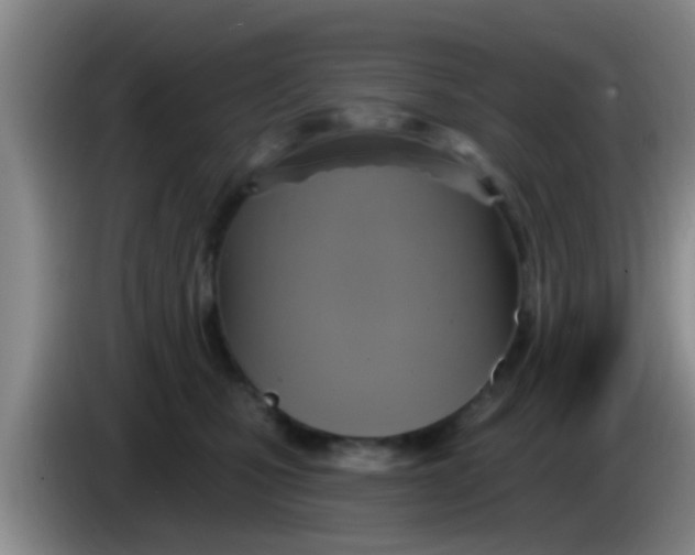 X0000084020471200703091952