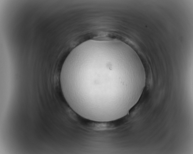 X0000084020473200703091952