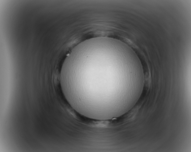 X0000084020474200703091952