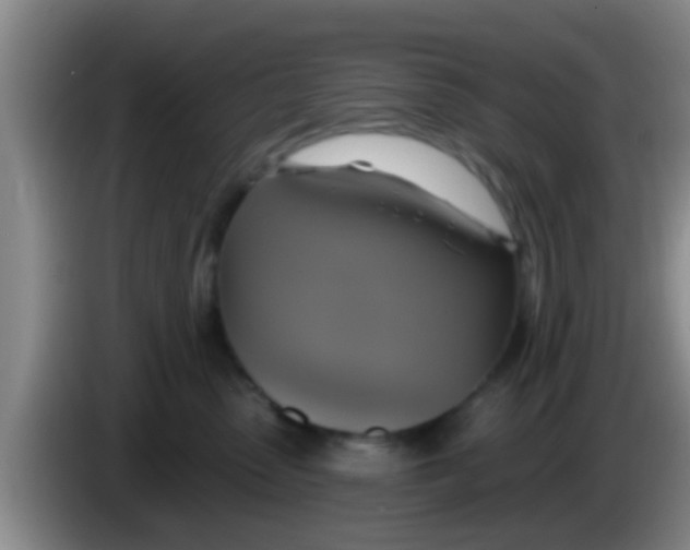 X0000084020475200703091952