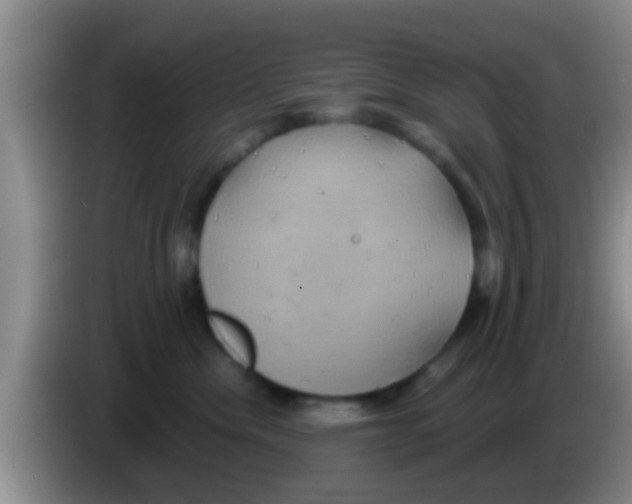 X0000084020476200703091952