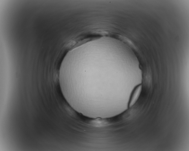 X0000084020477200703091952