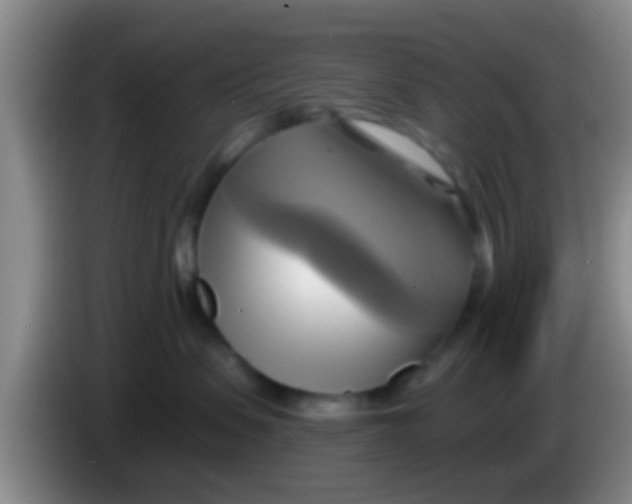 X0000084020479200703091952