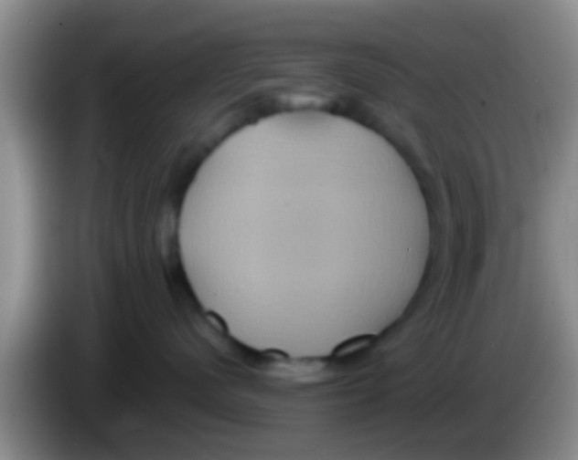 X0000084020480200703091952