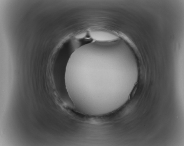 X0000084020481200703091951