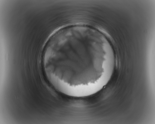 X0000084020483200703091951