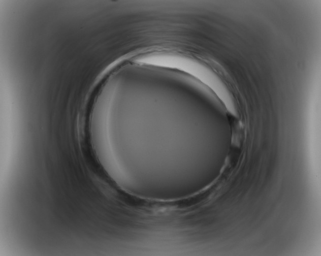 X0000084020484200703091951