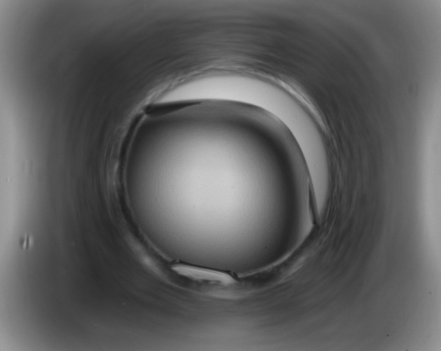 X0000084020485200703091951