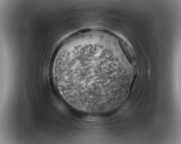 X0000084020487200703091951