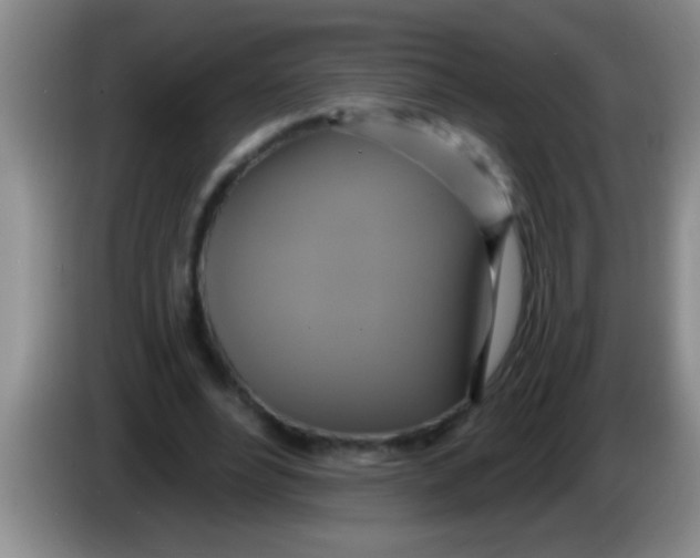 X0000084020488200703091951