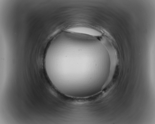 X0000084020489200703091951