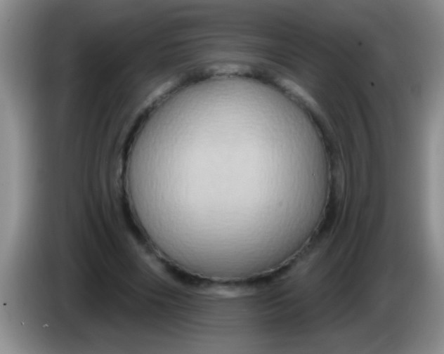 X0000084020490200703091951