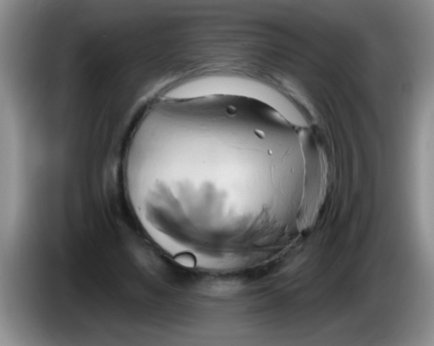 X0000084020491200703091951