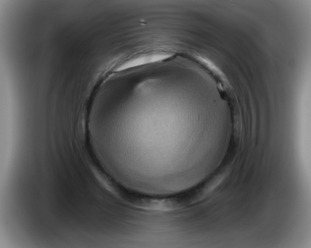 X0000084020493200703091951