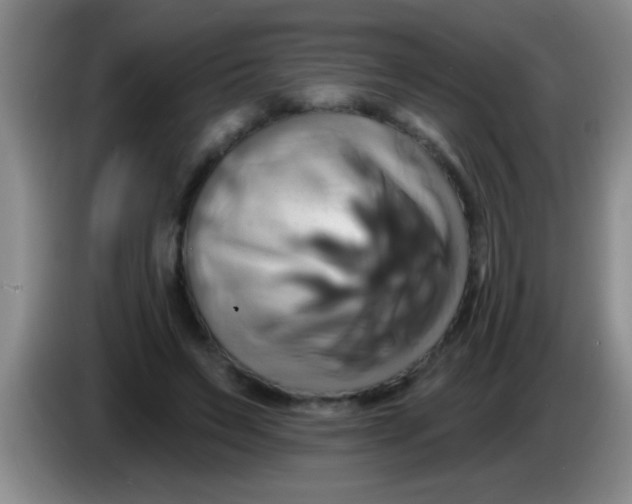 X0000084020495200703091951