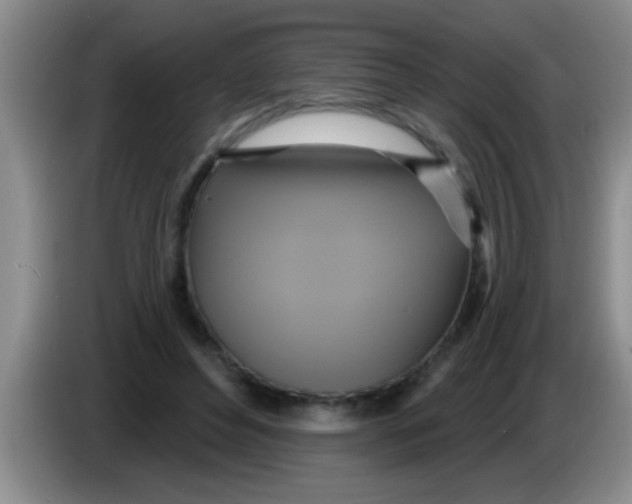 X0000084020496200703091951