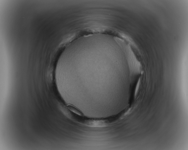 X0000084020501200703091951