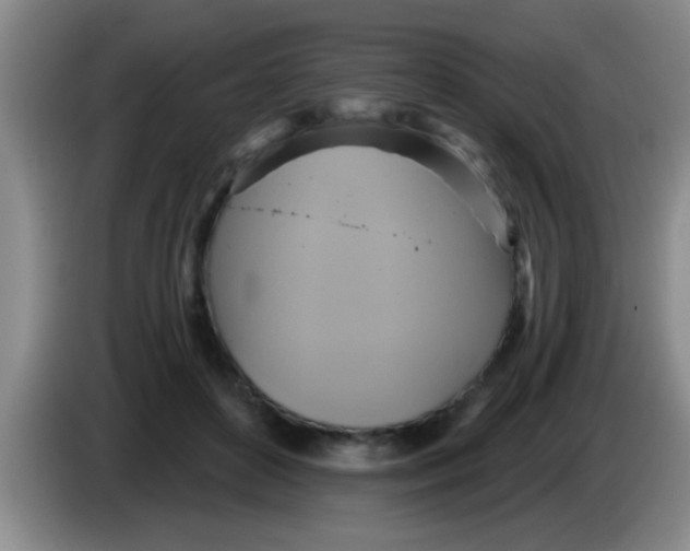 X0000084020504200703091951