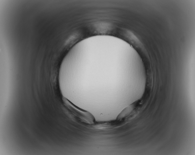 X0000084020505200703091951