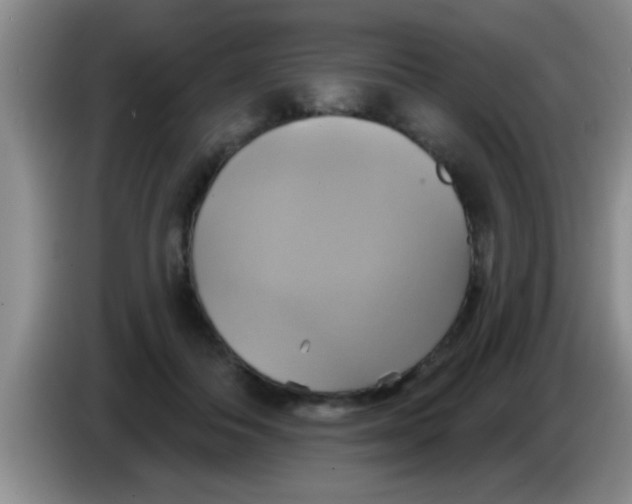 X0000084020506200703091951