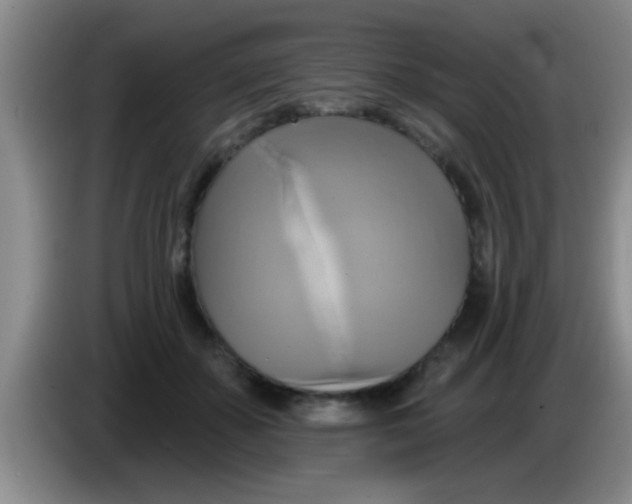 X0000084020507200703091951