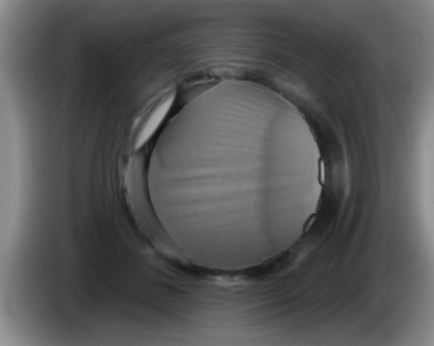 X0000084020508200703091951