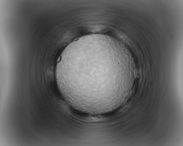 X0000084020510200703091951