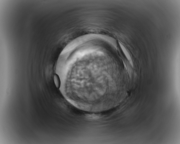 X0000084020511200703091951