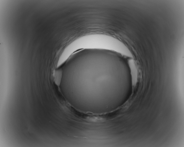 X0000084020512200703091951