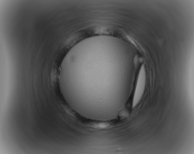 X0000084020513200703091951