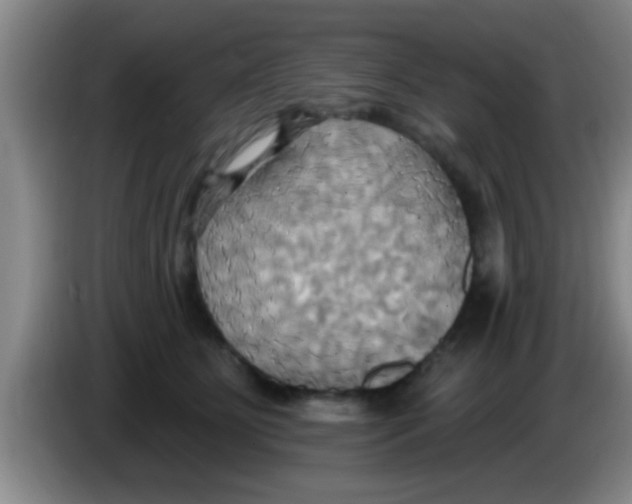 X0000084020515200703091951