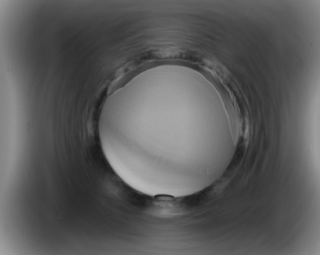 X0000084020516200703091951