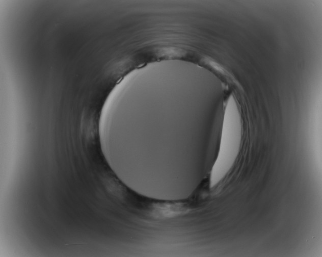 X0000084020517200703091951