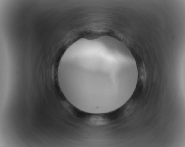 X0000084020519200703091950