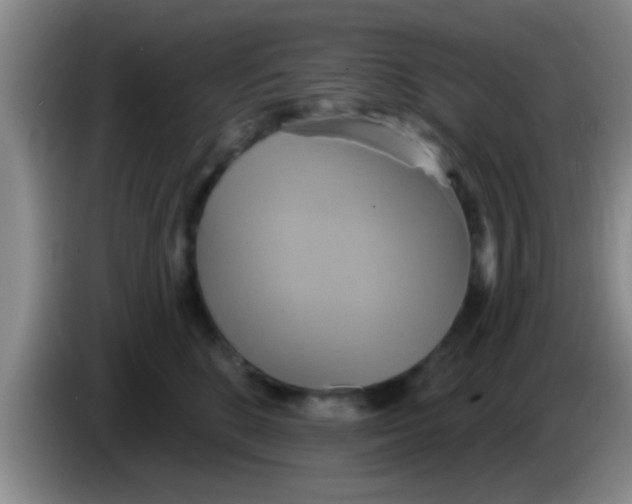 X0000084020520200703091950