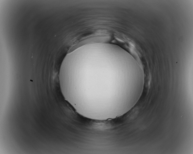 X0000084020521200703091950