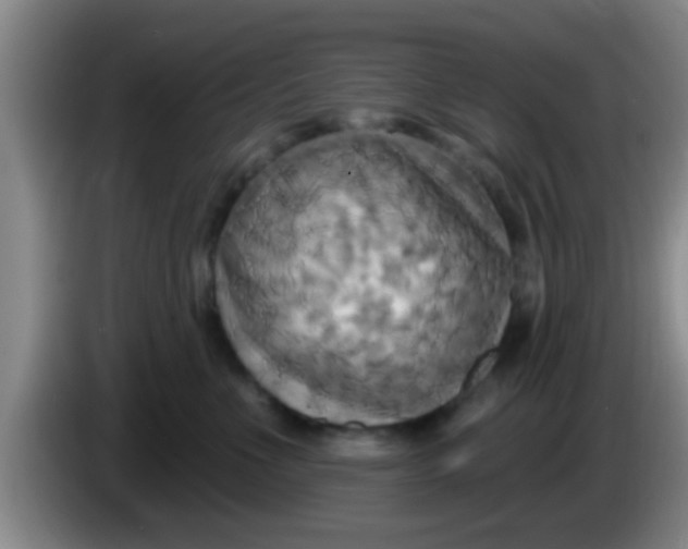 X0000084020523200703091950