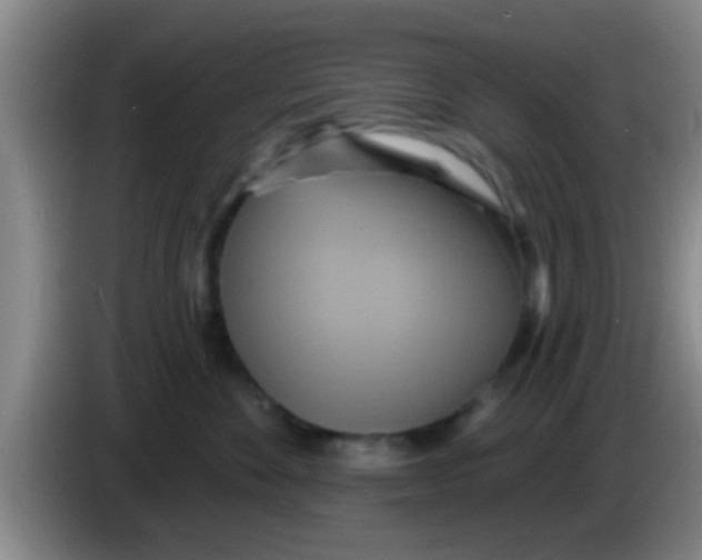 X0000084020524200703091950