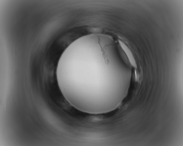 X0000084020525200703091950