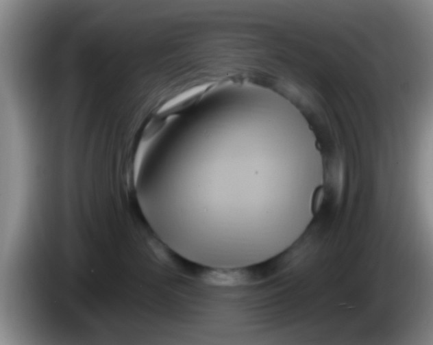 X0000084020526200703091950