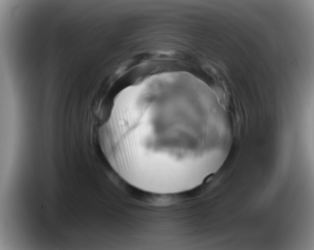 X0000084020527200703091950