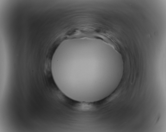 X0000084020528200703091950