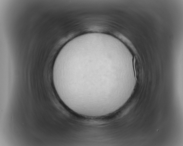 X0000084020529200703091950