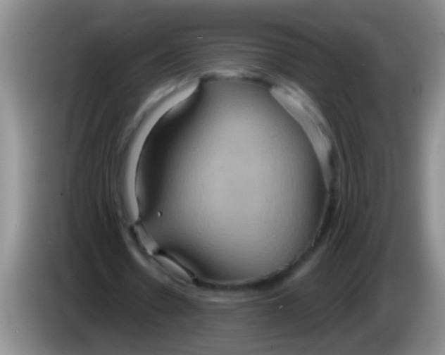 X0000084020530200703091950