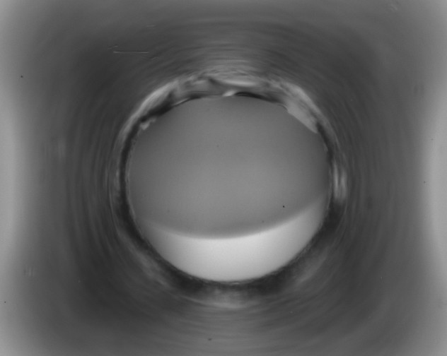 X0000084020531200703091950