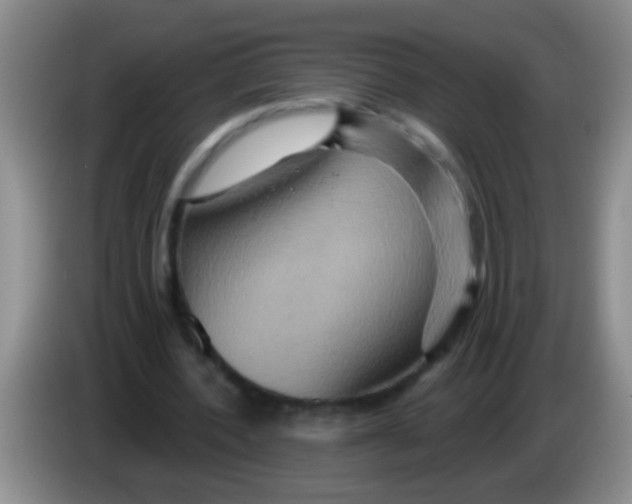 X0000084020532200703091950